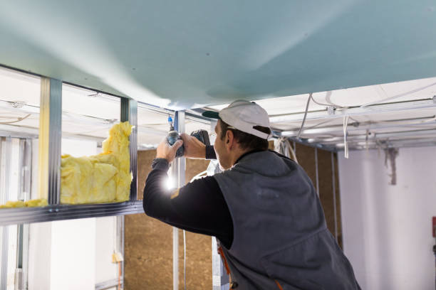 Best Insulation Maintenance and Repair in Burlington, CO