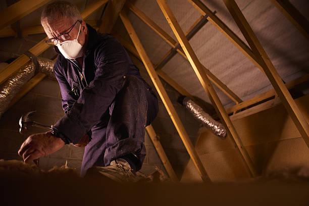 Best Insulation Installation Services in Burlington, CO